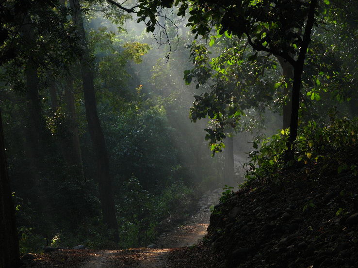 3. Sanjay National Park